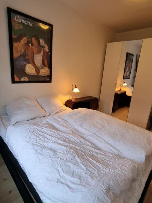 Paen Central Lejlighed Med Gratis Parkering Randers Exterior photo
